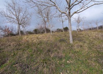 Foto 8 - Rustico contrada coste, Montelparo - foto 8