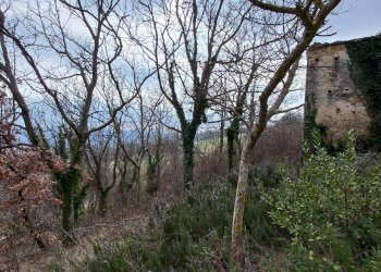 Foto 14 - Rustico contrada coste, Montelparo - foto 14