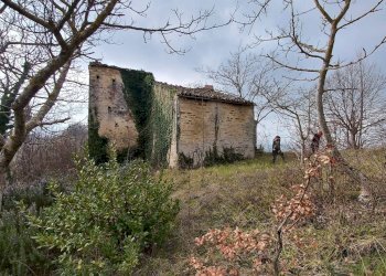 Foto 15 - Rustico contrada coste, Montelparo - foto 15