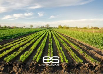 Foto 1 - Terreno agricolo Cassago Brianza - foto 1