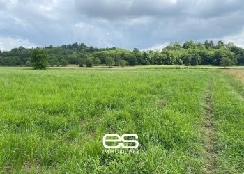 Foto 5 - Terreno agricolo Cassago Brianza - foto 5