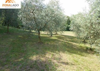 Foto 4 - Terreno agricolo SULZANO
89, Sulzano - foto 4