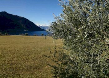 Foto 19 - Terreno agricolo SULZANO
89, Sulzano - foto 19