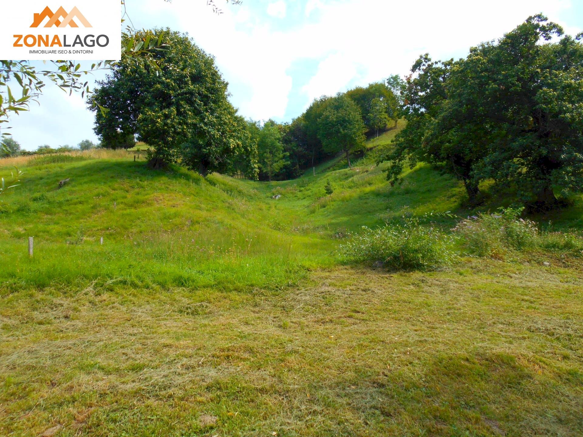 Foto 3 - Terreno agricolo BATTISTI
 
89, Sulzano - foto 3