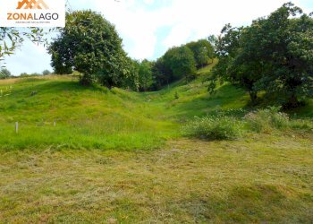 Foto 3 - Terreno agricolo BATTISTI
89, Sulzano - foto 3