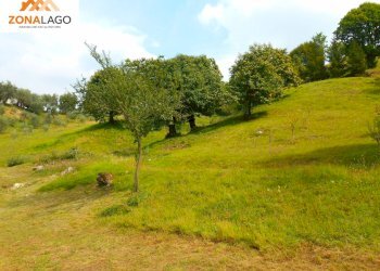 Foto 5 - Terreno agricolo BATTISTI
89, Sulzano - foto 5