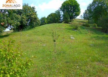 Foto 6 - Terreno agricolo BATTISTI
89, Sulzano - foto 6