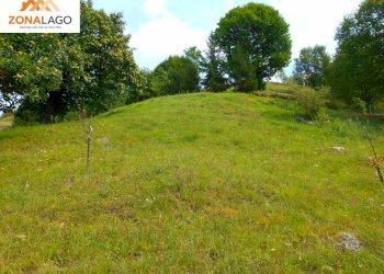 Foto 8 - Terreno agricolo BATTISTI
89, Sulzano - foto 8