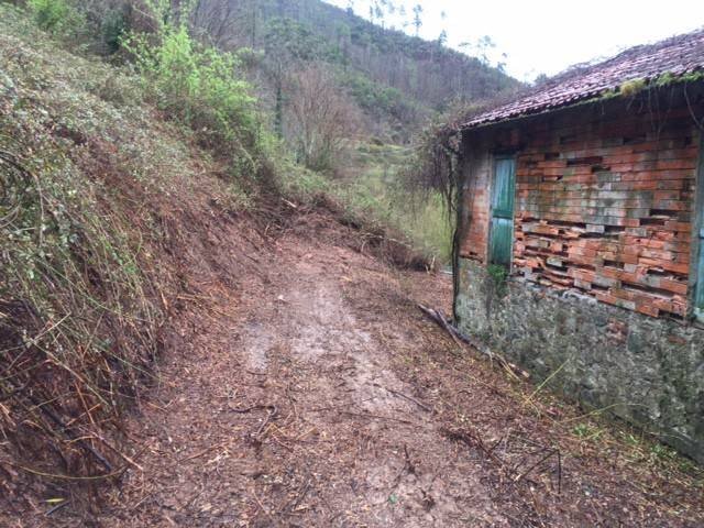 Rustic via Aurelia, Borghetto di Vara - photo 1