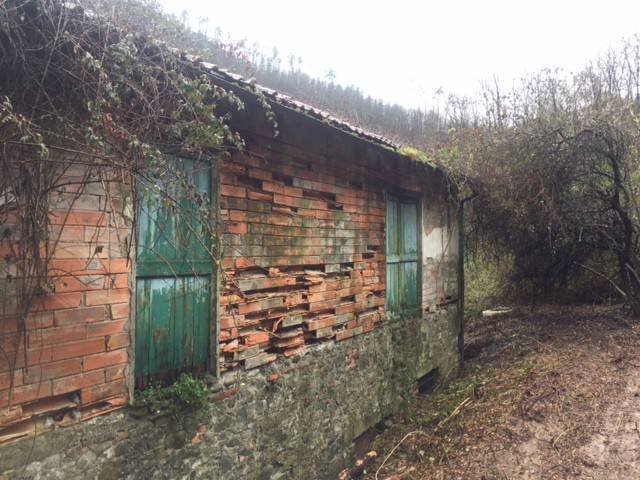 Rustic via Aurelia, Borghetto di Vara - photo 2