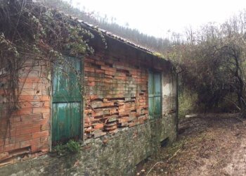 Rustico via Aurelia, Borghetto di Vara - foto 2