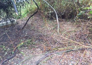 Rustico via Aurelia, Borghetto di Vara - foto 9