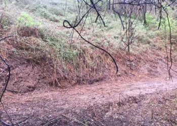 Rustico via Aurelia, Borghetto di Vara - foto 15