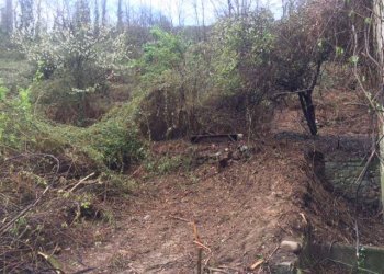 Rustico via Aurelia, Borghetto di Vara - foto 18