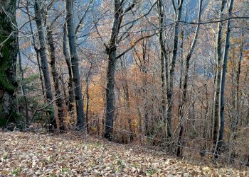 Foto 11 - Casa semi indipendente campo lungo, Pisogne - foto 11