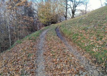 Foto 18 - Casa semi indipendente campo lungo, Pisogne - foto 18