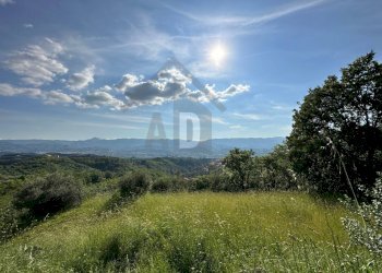 Foto 12 - Terreno edificabile VIA BELLAVISTA, Castiglione Cosentino - foto 11