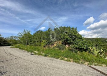 Foto 14 - Terreno edificabile VIA BELLAVISTA, Castiglione Cosentino - foto 13