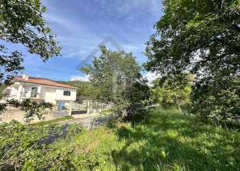 Foto 16 - Terreno edificabile VIA BELLAVISTA, Castiglione Cosentino - foto 15