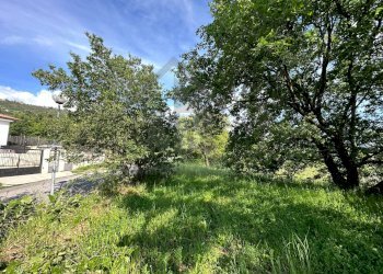 Foto 19 - Terreno edificabile VIA BELLAVISTA, Castiglione Cosentino - foto 18