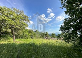 Foto 21 - Terreno edificabile VIA BELLAVISTA, Castiglione Cosentino - foto 20