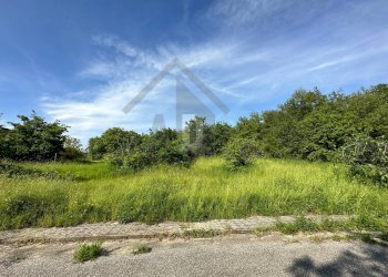 Foto 23 - Terreno edificabile VIA BELLAVISTA, Castiglione Cosentino - foto 22