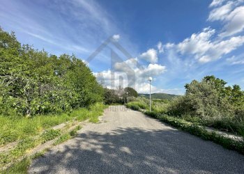 Foto 24 - Terreno edificabile VIA BELLAVISTA, Castiglione Cosentino - foto 23