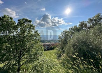 Foto 26 - Terreno edificabile VIA BELLAVISTA, Castiglione Cosentino - foto 25