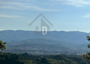 Foto 27 - Terreno edificabile VIA BELLAVISTA, Castiglione Cosentino - foto 26