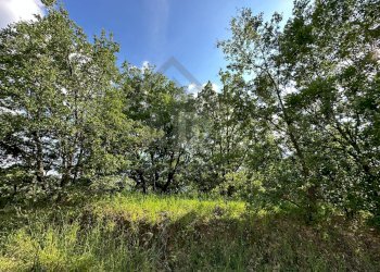 Foto 31 - Terreno edificabile VIA BELLAVISTA, Castiglione Cosentino - foto 30