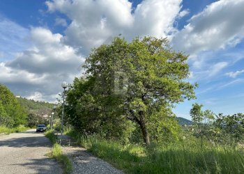 Foto 33 - Terreno edificabile VIA BELLAVISTA, Castiglione Cosentino - foto 32