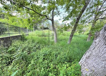 Foto 47 - Rustico VIA DEI GASPARONI, Marano Marchesato - foto 47