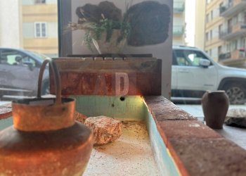 Foto 8 - Locale Commerciale VIA ALBERTO SERRA
34, Cosenza - foto 8