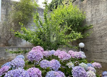 Foto 23 - Appartamento VIA CALABRIA
 
26, Carolei - foto 23