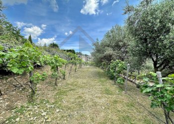 Foto 46 - Villa VIALE VIRGILIO
 
9, Mendicino - photo 46