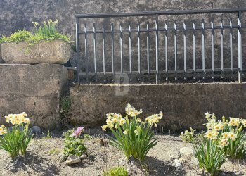 Foto 10 - Trilocale via Pozzillo
 
2, Dipignano - foto 10