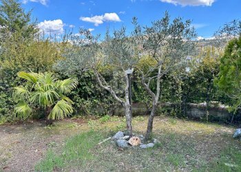 Foto 40 - Villa VIA ALESSANDRO IL MOLOSSO
 
10, Mendicino - photo 40