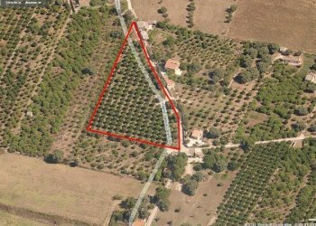 Foto 1 - Agricultural land c.da carancino, Siracusa - photo 1