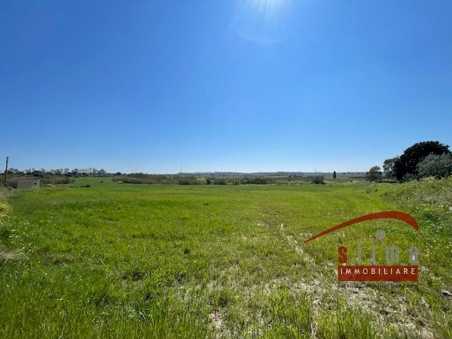 Foto 3 - Agricultural land traversa cozzo pantano, Siracusa - photo 3