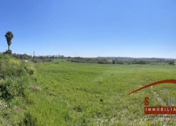 Foto 4 - Agricultural land traversa cozzo pantano, Siracusa - photo 4