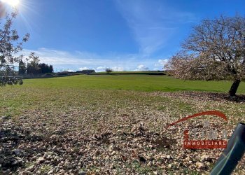 Foto 2 - Rustico Cassaro - foto 2