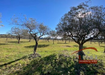 Foto 7 - Rustico Cassaro - foto 7