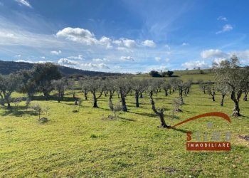 Foto 11 - Rustico Cassaro - foto 11