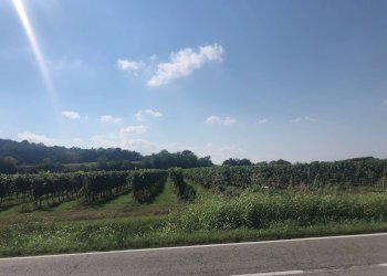 Foto 9 - Villa Via Casa Lanzetti, Valeggio sul Mincio - foto 9