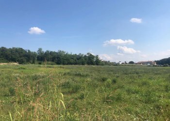 Foto 11 - Villa Via Casa Lanzetti, Valeggio sul Mincio - foto 11