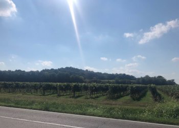 Foto 14 - Villa Via Casa Lanzetti, Valeggio sul Mincio - foto 14