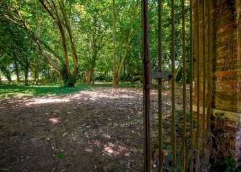 Foto 79 - Villa Via Vittorio Veneto, Sorgà - foto 79