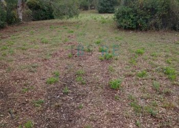 Foto 8 - Commercial Premises Via del Colle
 
Snc, Marciana - photo 8