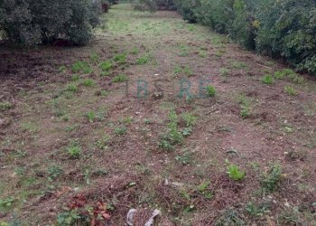 Foto 9 - Commercial Premises Via del Colle
 
Snc, Marciana - photo 9