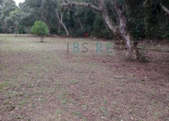 Foto 10 - Commercial Premises Via del Colle
 
Snc, Marciana - photo 10